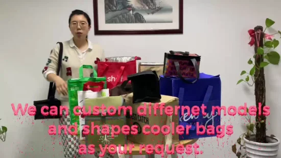 Kundenspezifische 6er-Packung isolierter Thermo-Lunch-Kühltaschen aus Vliesstoff, Großhandel in China