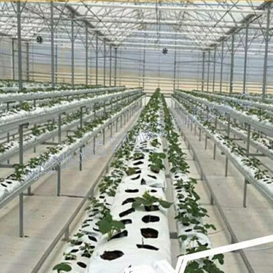 Luxuriöser 7-Gallonen-Hochleistungsbelüftungsstofftopf All Climat Planter Grow Bag für die Landwirtschaft